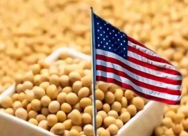 小评评助手软件下载：中国暂停巴西大豆进口的真相，质量问题与国际博弈分析