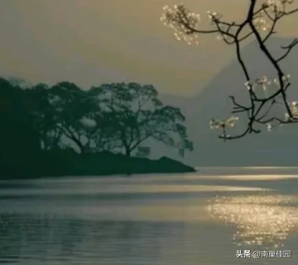 小G助手软件下载：收快递的喜悦，网购带来的幸福体验与生活乐趣