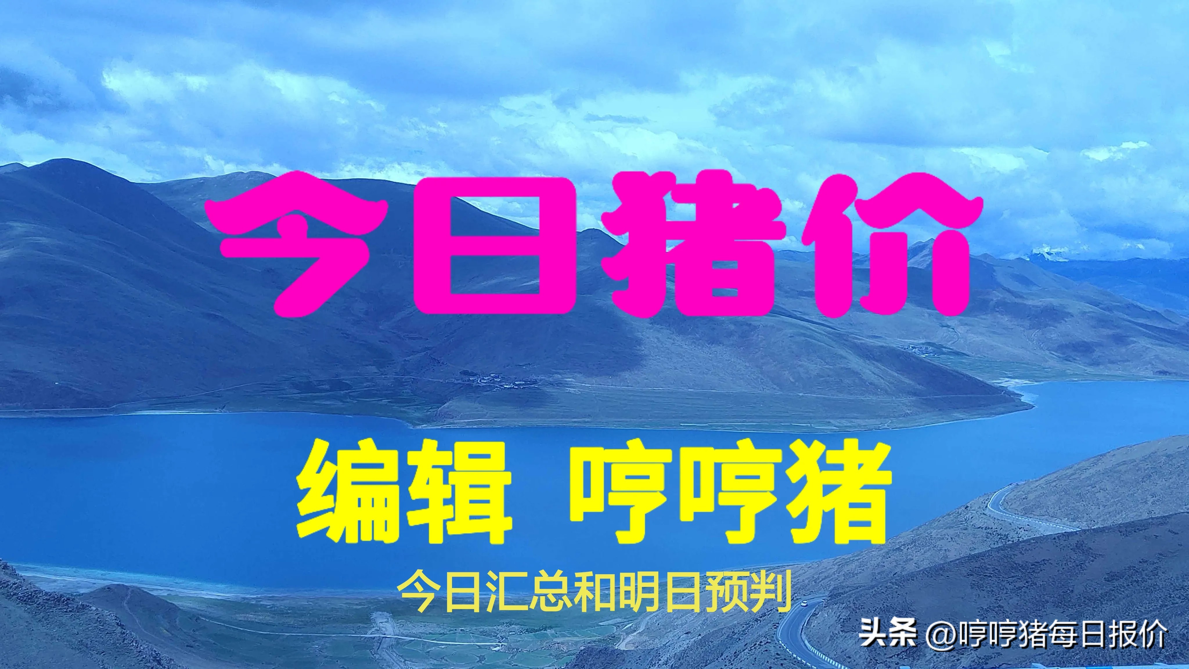 大牛助手：猪价持续低迷，生猪养殖业面临巨大挑战与调整策略分析