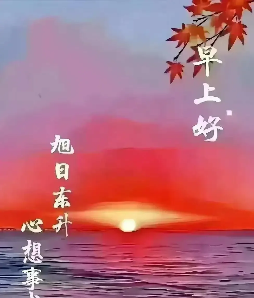 Q助手出评软件：某演员片场情绪崩溃大哭，粉丝心疼不已引热议！