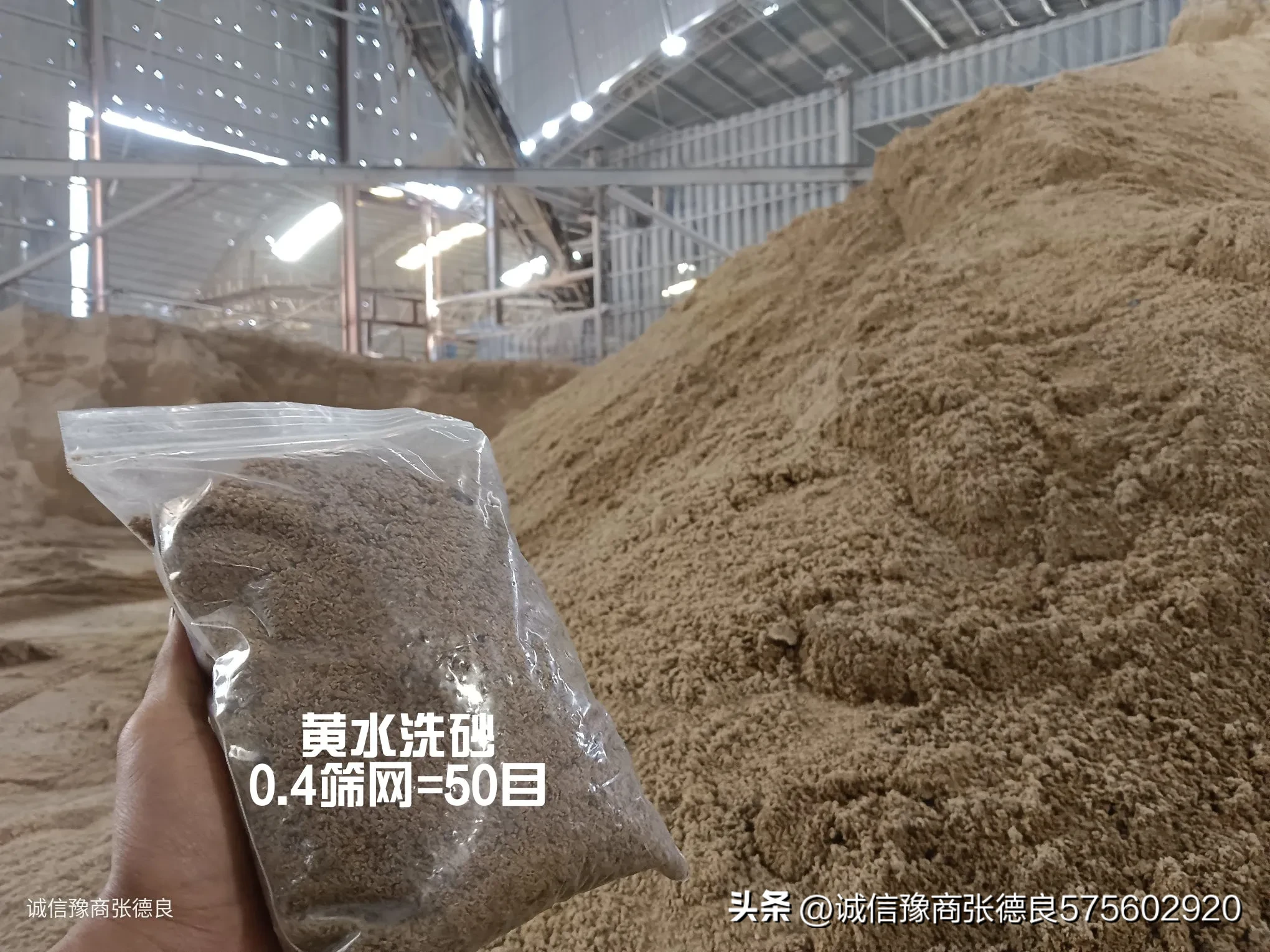 多评助手：坚持与成长，张德良的诚信商业哲学与写作心路