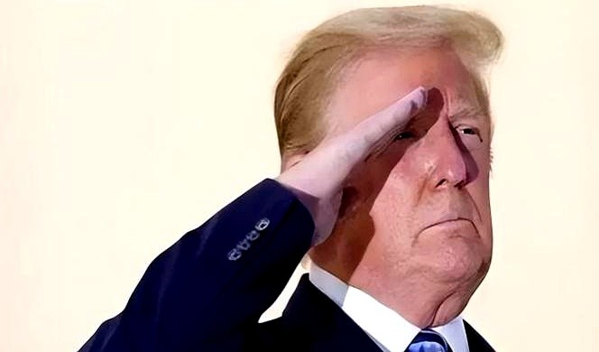 51助手入口：美国集装箱运输预订量飙升300%，外贸人如何应对利润压力？