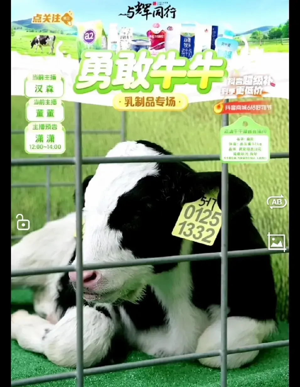 51助手软件官网：奶牛简简直播带货，新兴力量引发观众热潮！
