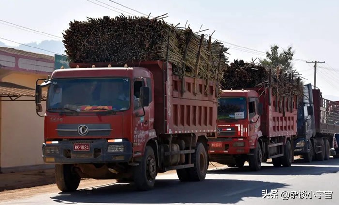 乐拼助手：缅北果敢地区甘蔗种植现状与市场规范分析，未来产量与收益展望