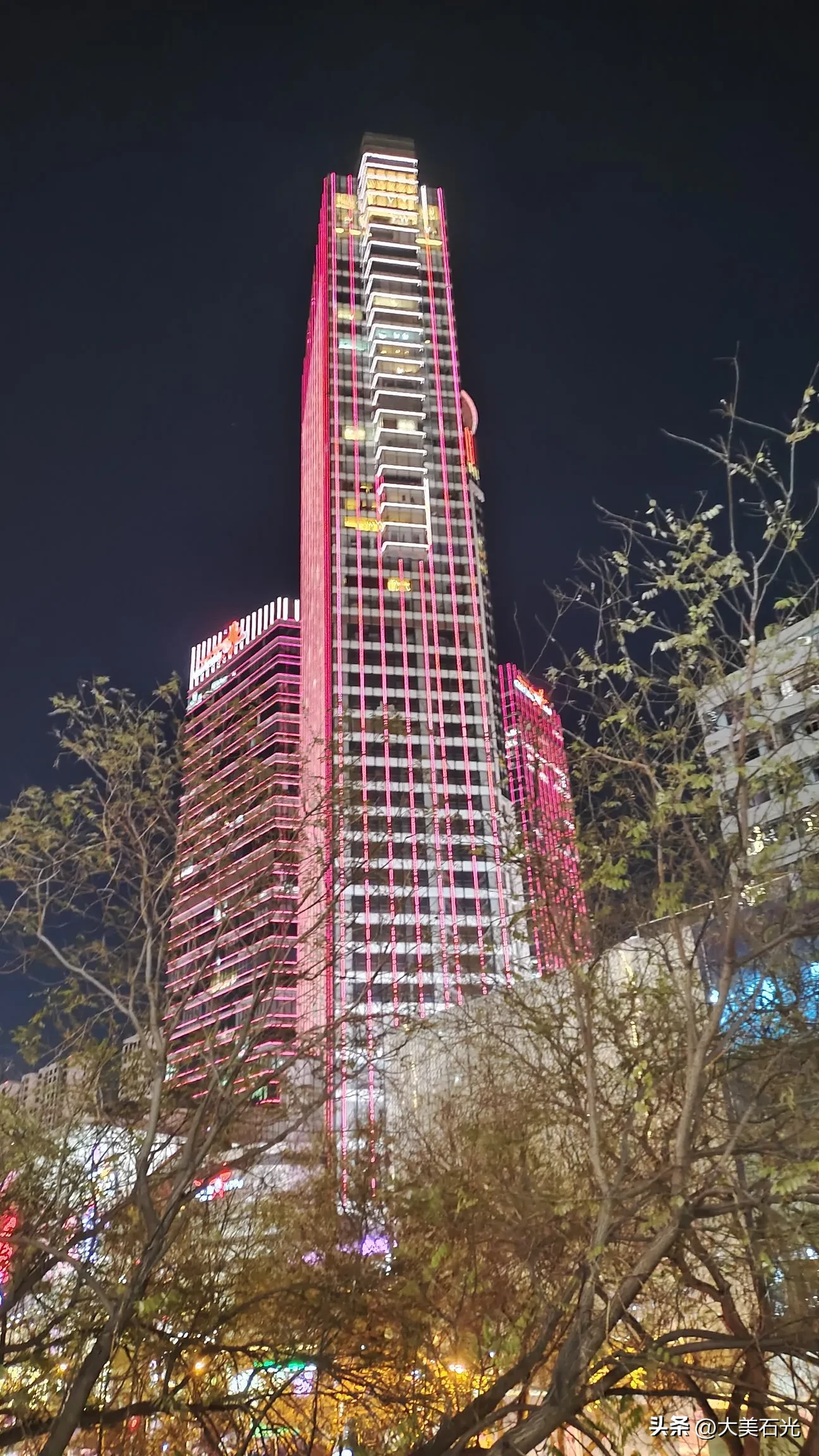 51助手网站：盒马鲜生在石家庄开设新零售门店，推动区域消费升级与数字化转型