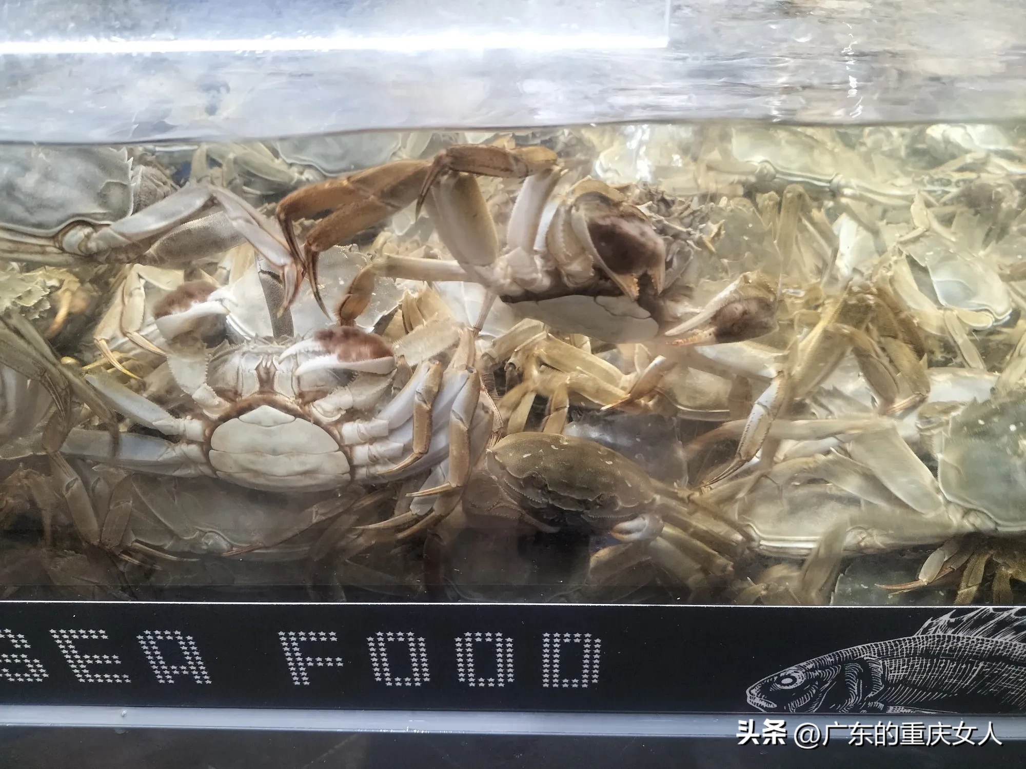 小U助手：大渡口万达永辉超市变身淘小胖，商品更便宜受欢迎