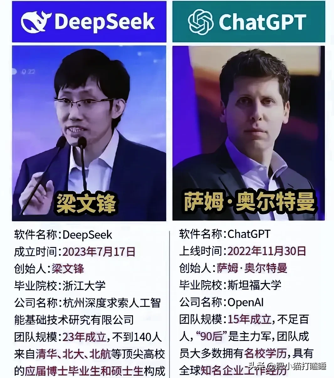 权重大师软件：美国对DeepSeek的封杀与AI竞争中的讽刺现象分析