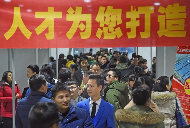 权重大师网站：2025年就业形势分析，行业差异与未来趋势解读