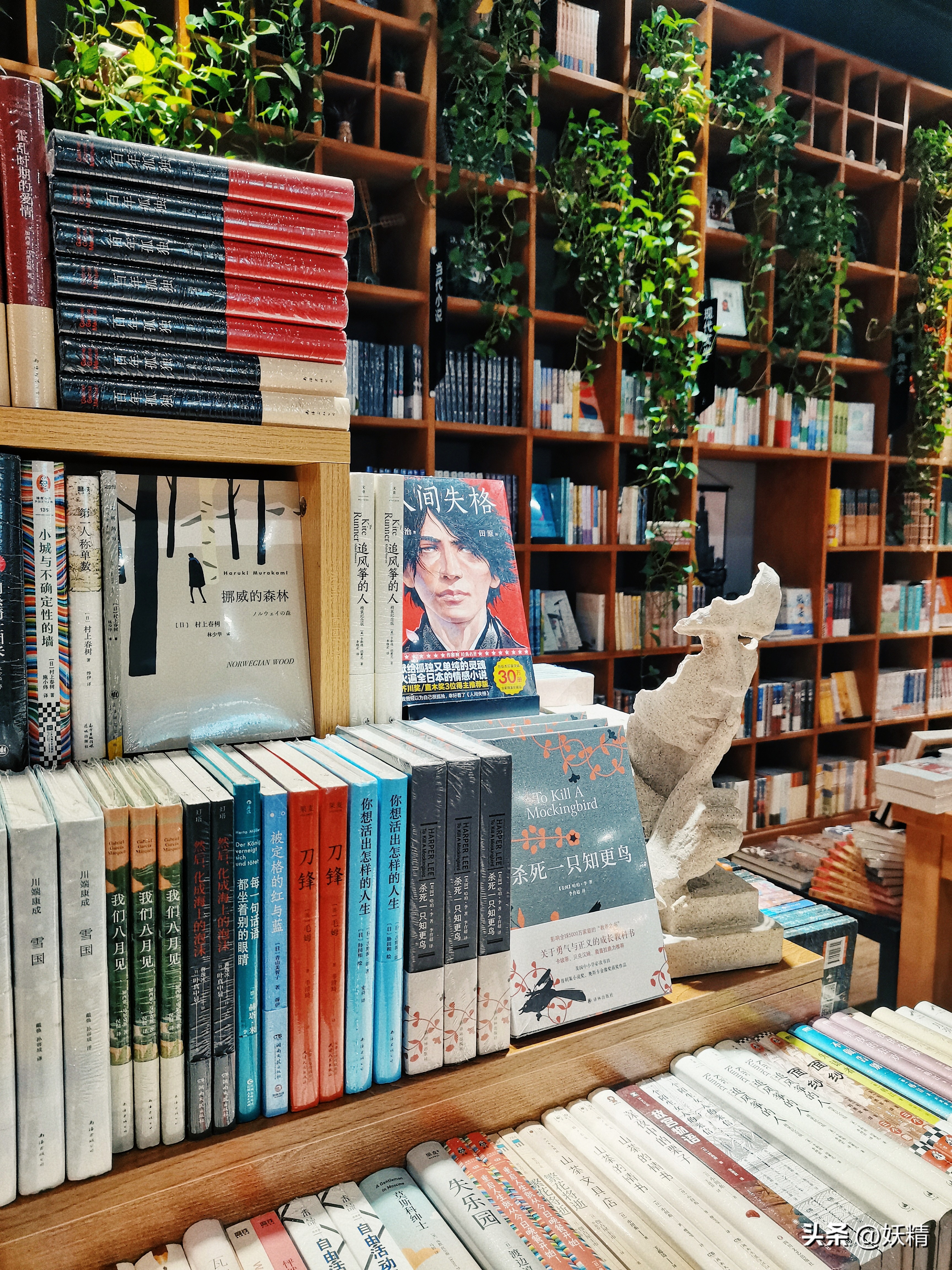 神龙助手教程：如何成为一名优秀的阅读推广人？分享核心能力与实用策略