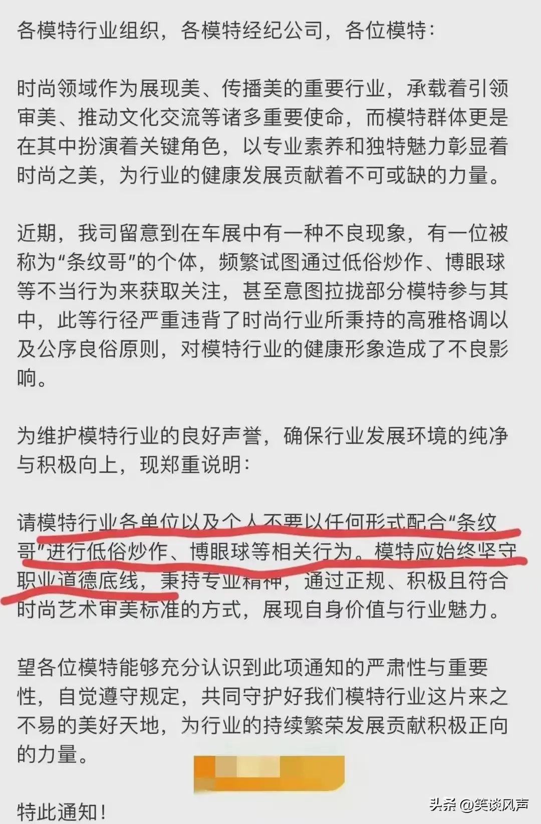 无名助手：“条纹哥”车展风云，从网络红人到封禁的荒诞之旅与反思