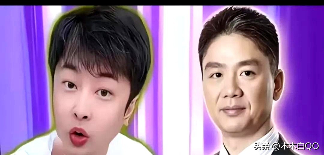 领航助手：刘强东的物流战略与辛巴直播带货的对比分析