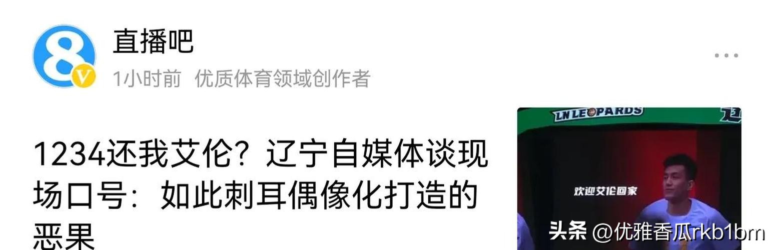 易拼团开团软件：还我艾伦，辽沈大地球迷心声与篮球热爱的精神之旅