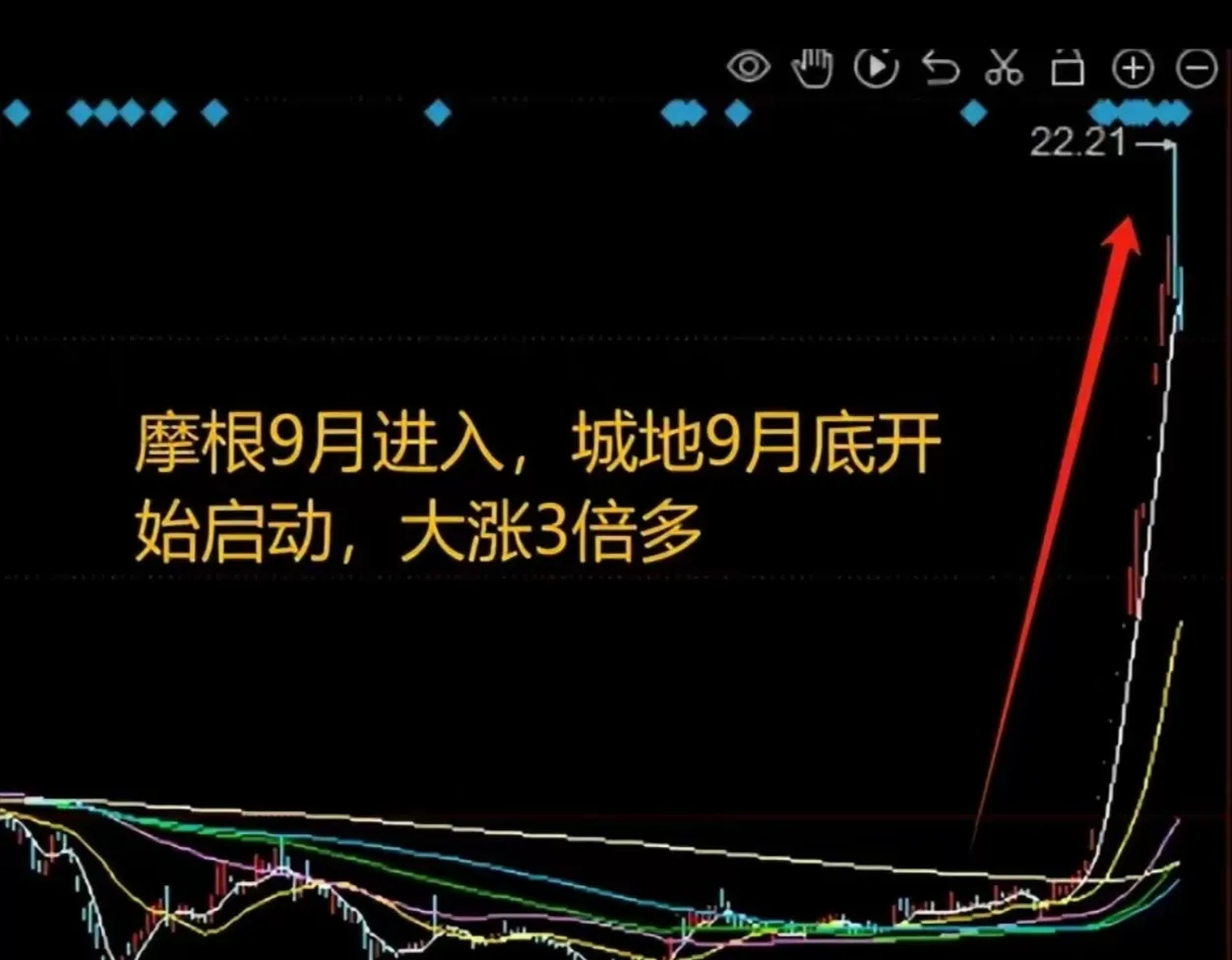 多多留评工具：摩根大通投资贝岭、长虹与川大的深度解析与投资机会指南