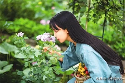 星评助手入口：昔日网红的沉浮，薇娅、卢本伟等人缘何陨落？小杨哥能否再度崛起？