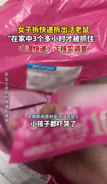 超评助手：女子网购连衣裙竟拆出活老鼠，快递责任引发热议与消费者不满