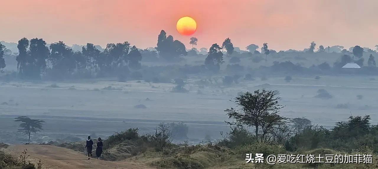 超评助手入口：保持清醒心态，投资成功的关键在于总结经验与控制风险