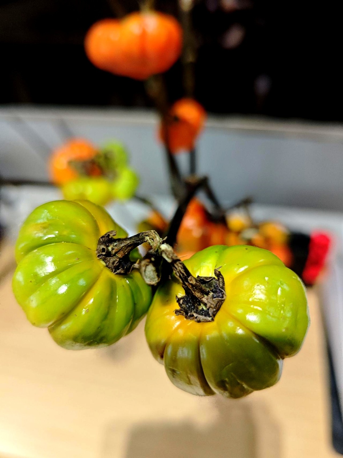 超单助手拼多多：家常大米引发代际消费观讨论，贵不贵？看你如何定义