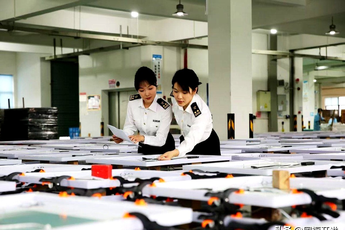 拼多多出评神器：宁波市进出口创历史新高，民营企业韧劲助力经济逆势增长