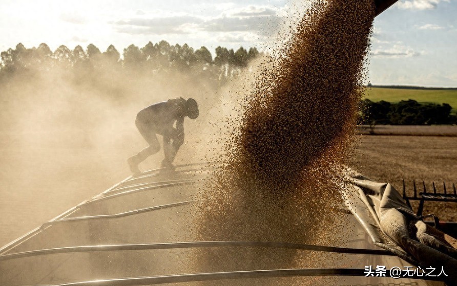 51助手：中美大豆贸易紧张，华盛顿急寻出路，中国却已找到新选择