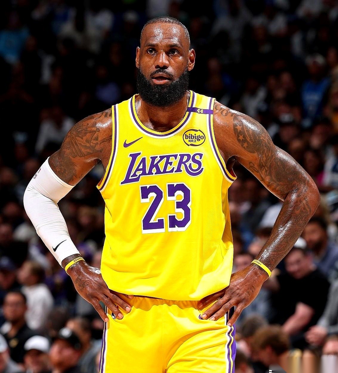 51助手软件官网：詹姆斯与亚马逊官宣，新秀签约Exhibit 10合同，NBA生涯的悲喜交加