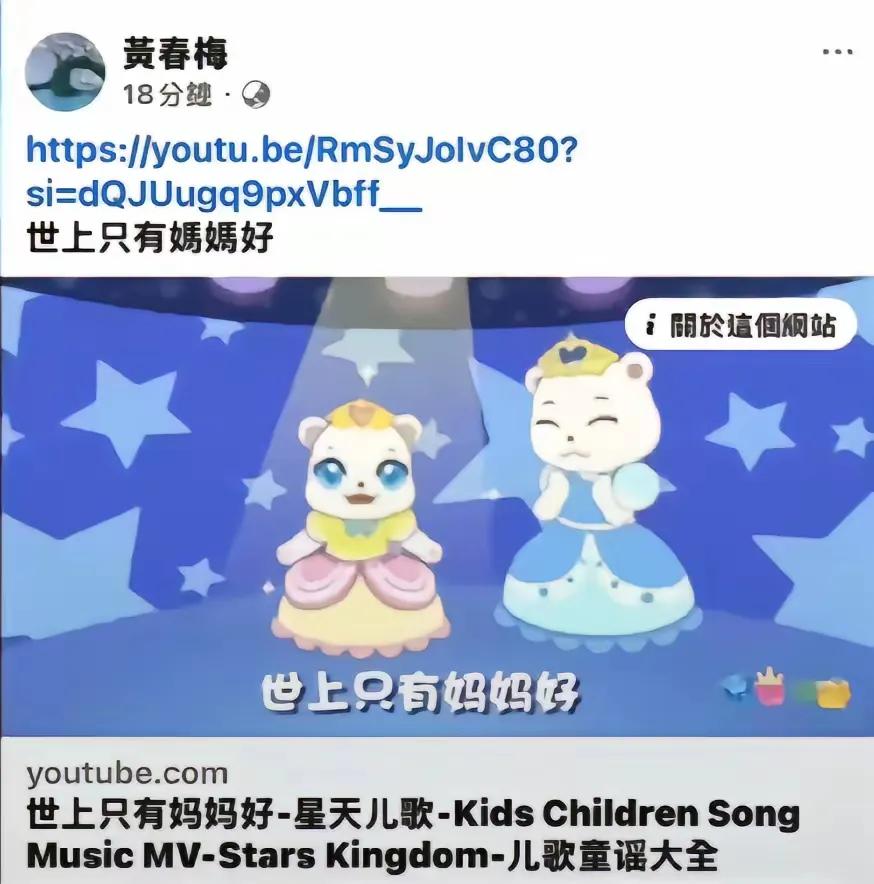 领航助手开团软件：汪小菲二婚引发热议，S妈动态频现背后情感纠葛揭秘