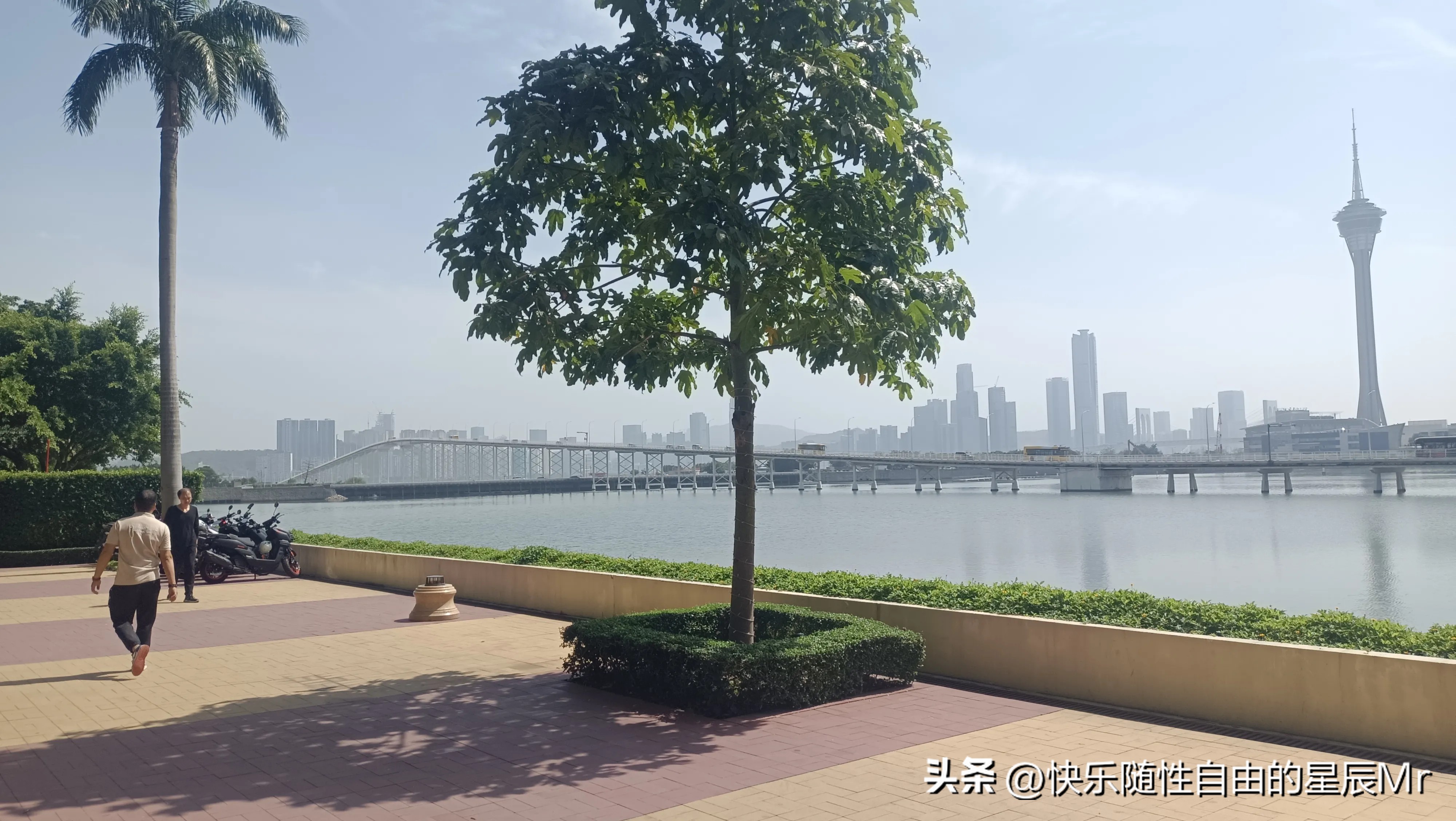拼多多动销出评：女性销售员的职场挑战与成长，李璐与老张的故事