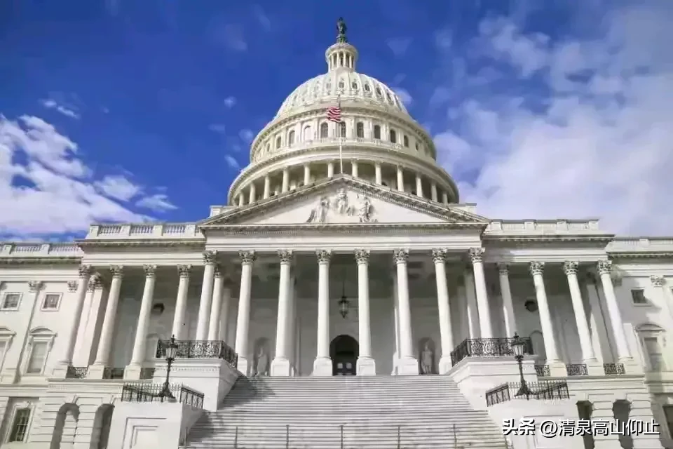 小评评助手：特朗普与德国魏德尔，极右翼政党如何影响全球政治格局