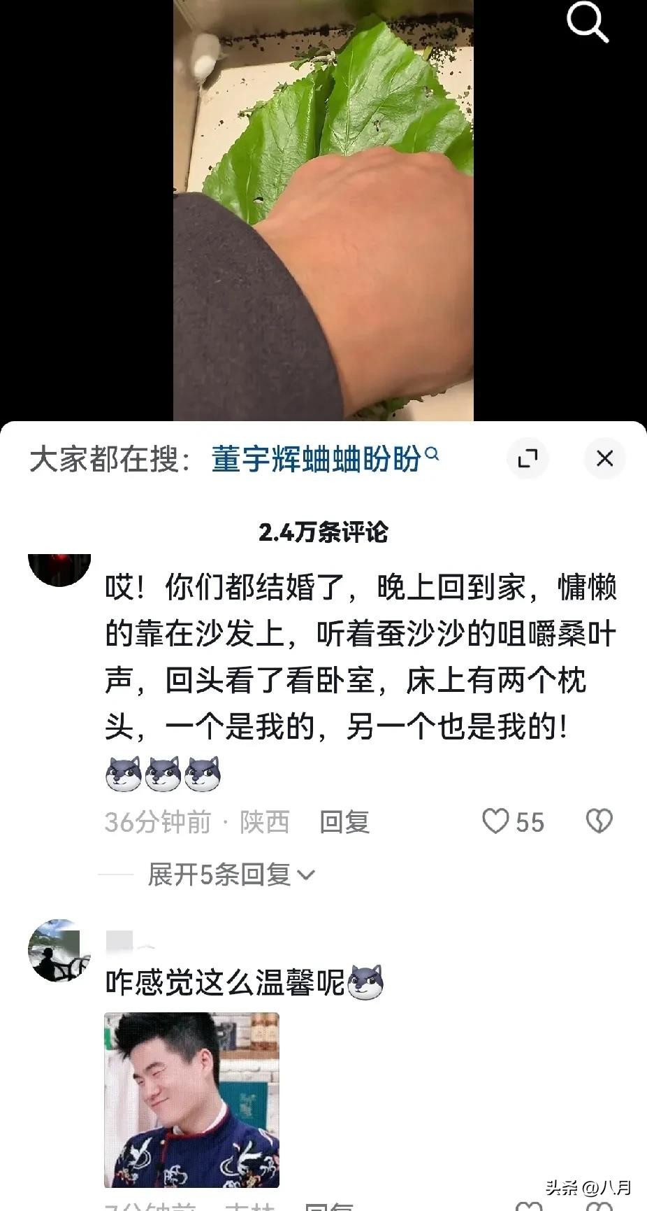 创优助手出评软件：董宇辉，如何将带货直播与茶文化相结合的知识型魅力