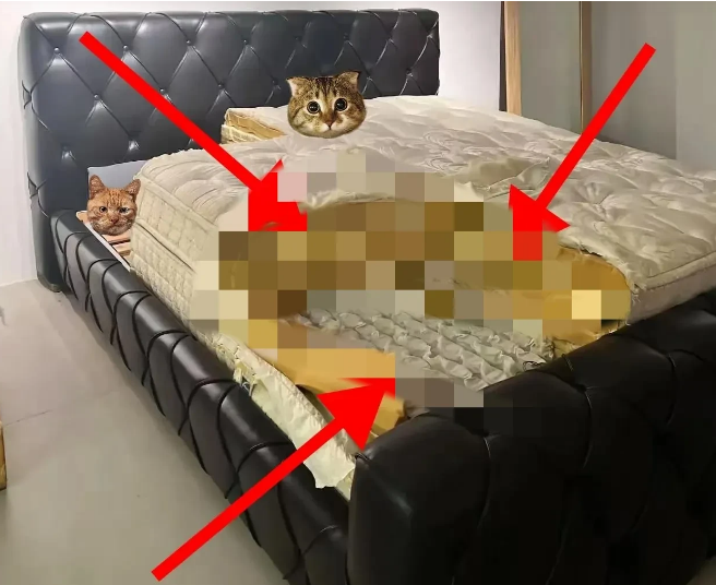 猎拼助手：网购床垫黑心棉骗局曝光，维权无门消费者如何自救？