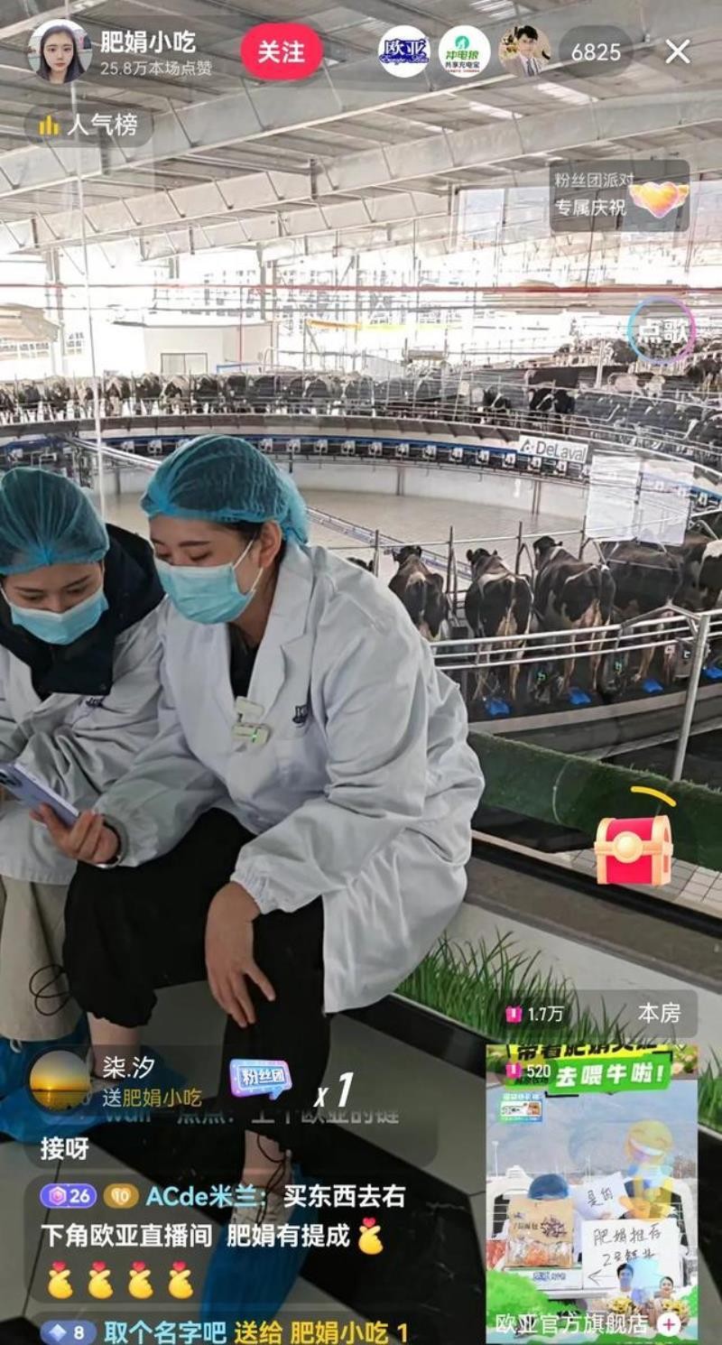 DD助手：肥娟直播带货，从百万打赏到零售转型的心路历程