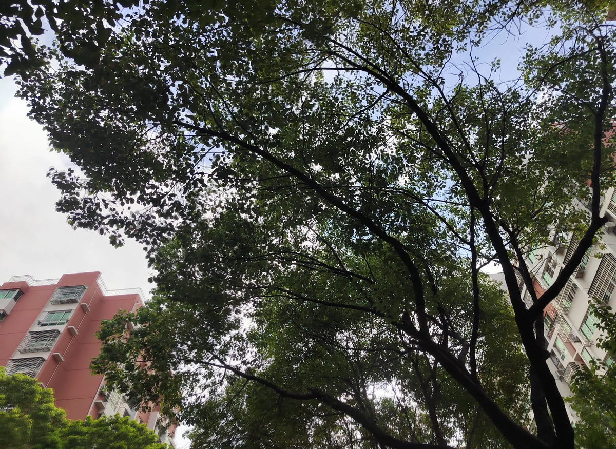 小Q助手官网入口：婚姻破产背后的真相，90后夫妻如何通过理财重建信任