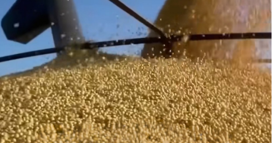 茄子助手邀请码：美国大豆转向东南亚买家，关税影响下的市场反应与挑战