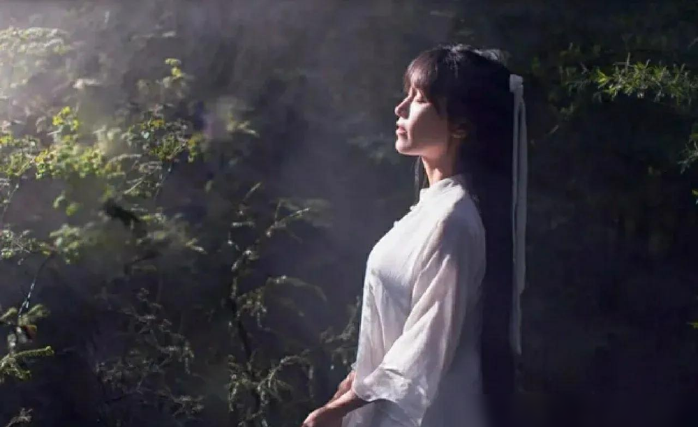 单单助手软件官网：李子柒庭院的“假与真”，理想生活背后的设计哲学与仪式感
