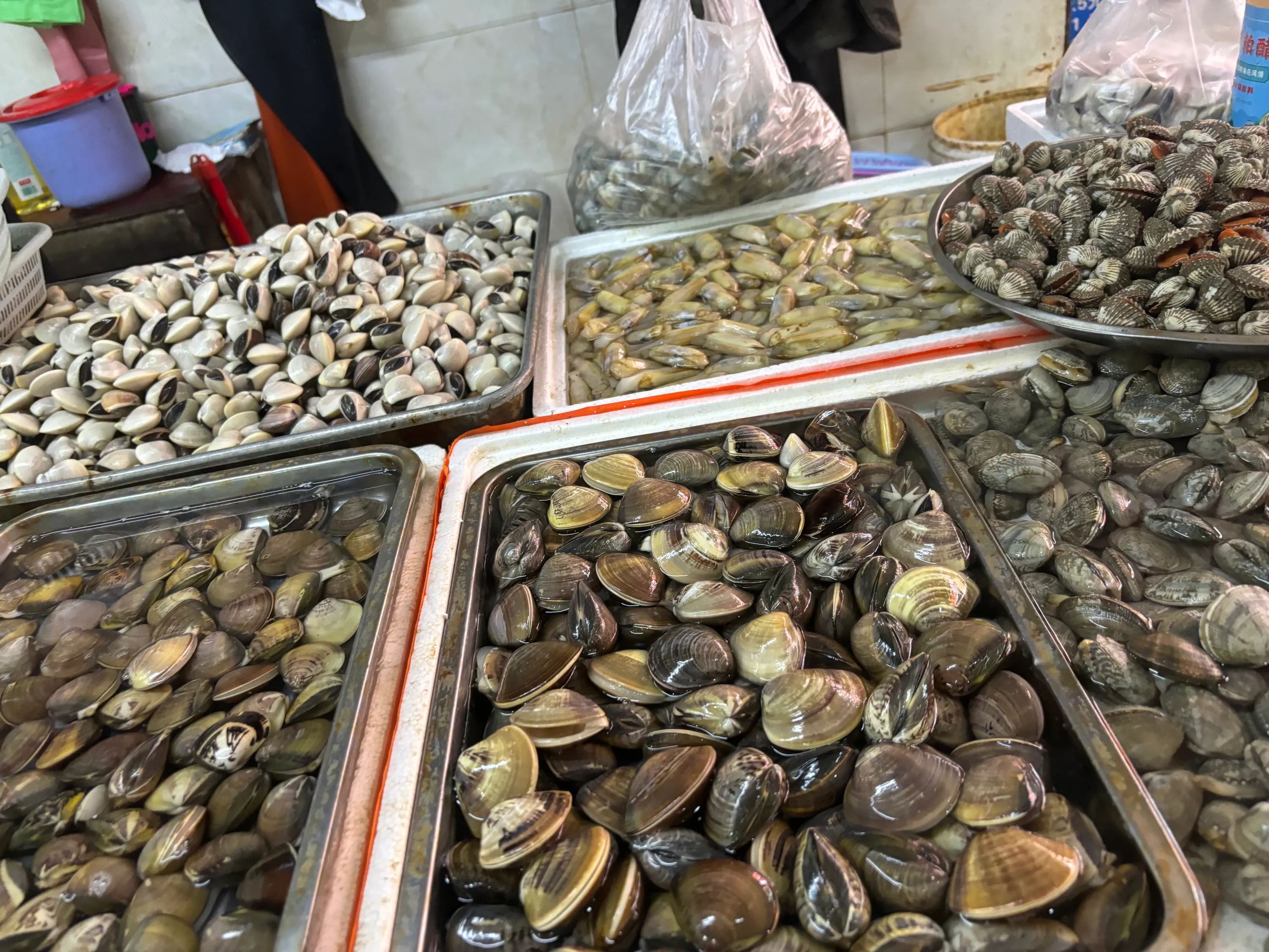 小评评助手拼多多：海口大雾天市场热闹，残疾摊主用爱心感动人心