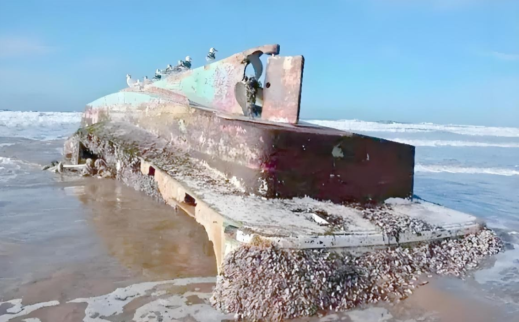 51助手教程：航母下的藤壶，不为战士们加餐的隐形损失与生态风险