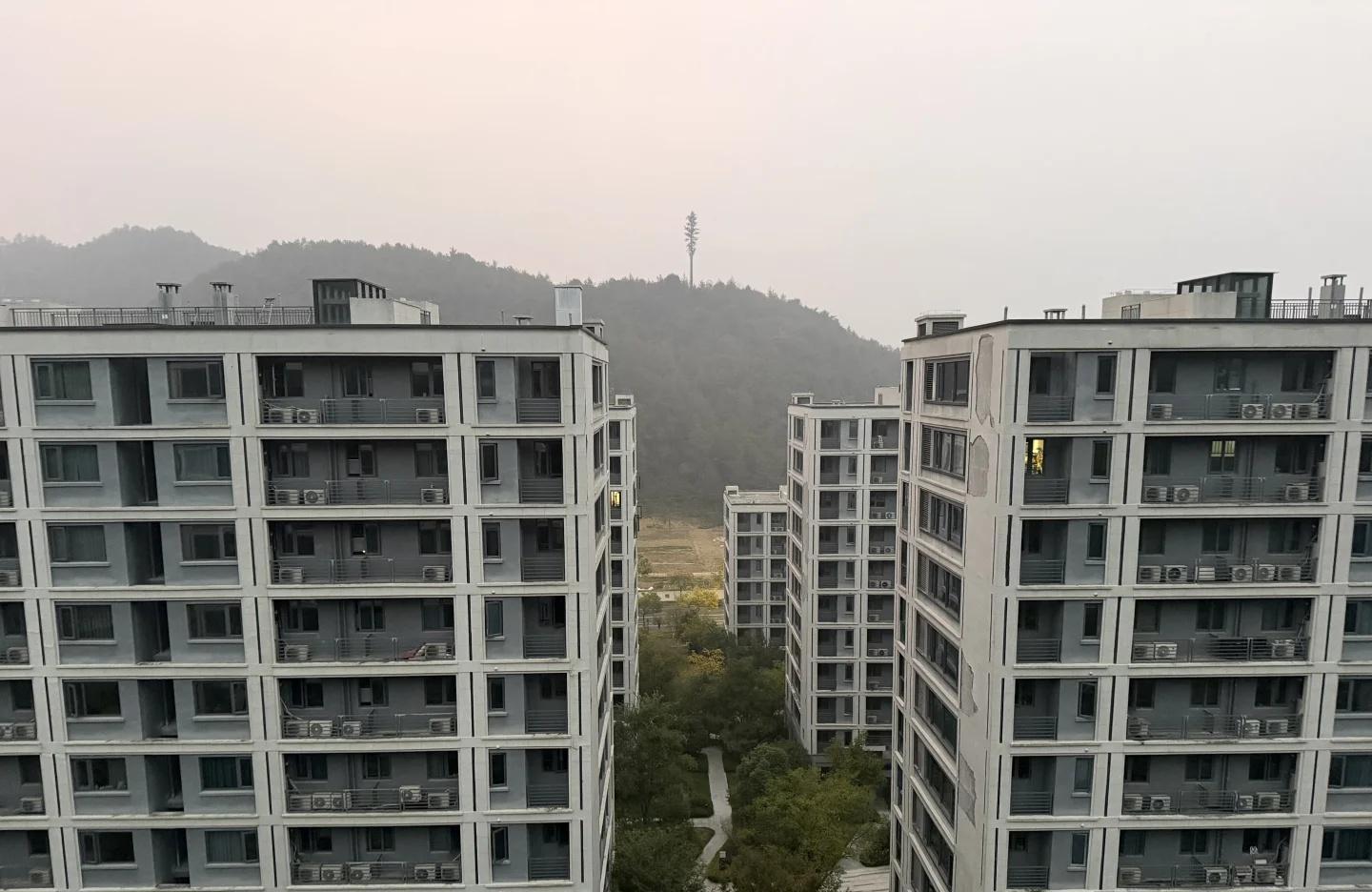 51助手下载安装：怀念母亲的点滴瞬间，失去与爱的心灵独白