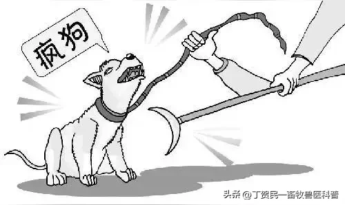 易单助手下载：良心企业家为何屡遭无端攻击？胖东来与东方甄选的品质坚守之路