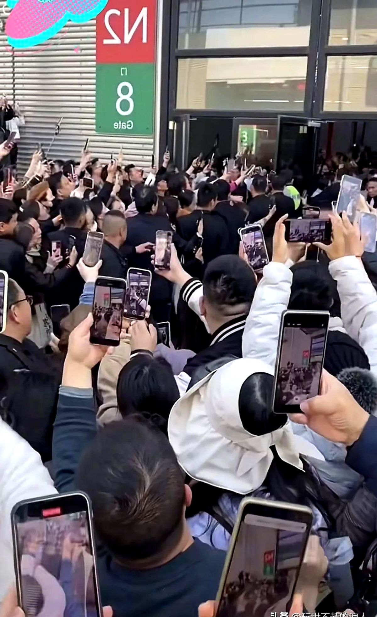 无名助手：董宇辉的直播魅力，如何赢得丈母娘们的心与钱包