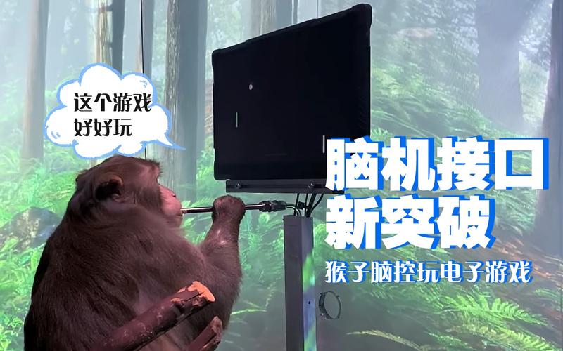 小Q助手软件：马斯克，从普通孩子到科技巨头，努力与坚持的成功之路