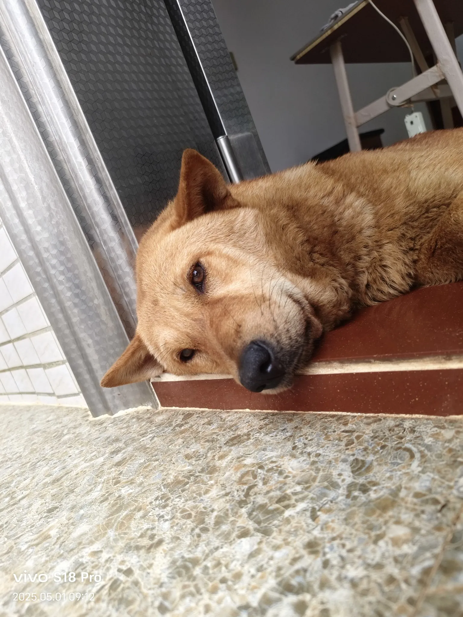 快火助手教程：高中生兼职经历，学习与成长中的挫折与心态调整