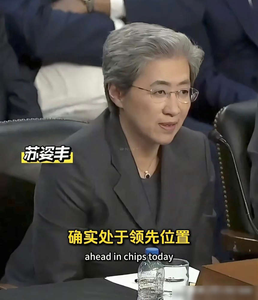 多多留评工具下载：美国科技巨头惧华为崛起，自主研发成中美AI竞争关键