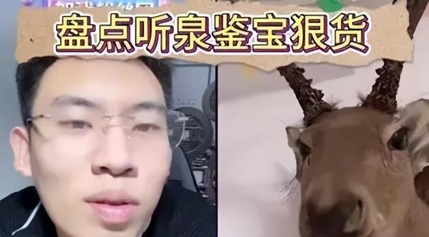 出评软件：“听泉鉴宝”学历造假风波引发热议，网红回应称信息填写错误！