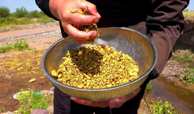 多多出评：美国华人现状，历史歧视与追梦之路的艰辛探索