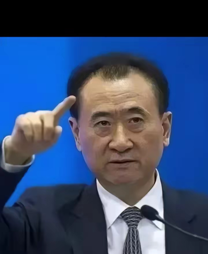权重大师最新版本：王健林父子资产危机，快钱金融股权出售背后的行业变局
