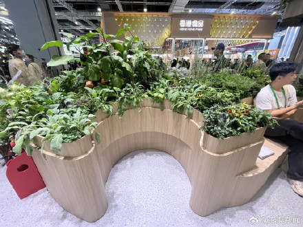 觉醒助手：第八届进博会，新消费场景与全球市场的新机遇