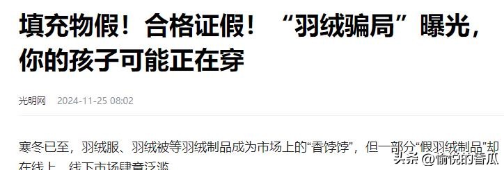 小评评助手教程：双十一“白菜价”羽绒服背后，工人健康与社会道德的代价