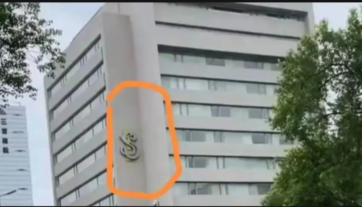 神龙助手使用方法：离婚后大S花汪小菲的钱，法律、情感与经济责任的综合分析