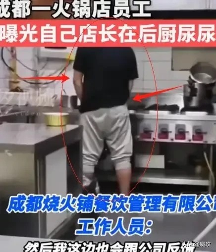 无名助手：成都火锅店后厨惊现“自由飞翔”，食客心理承受能力遭挑战！