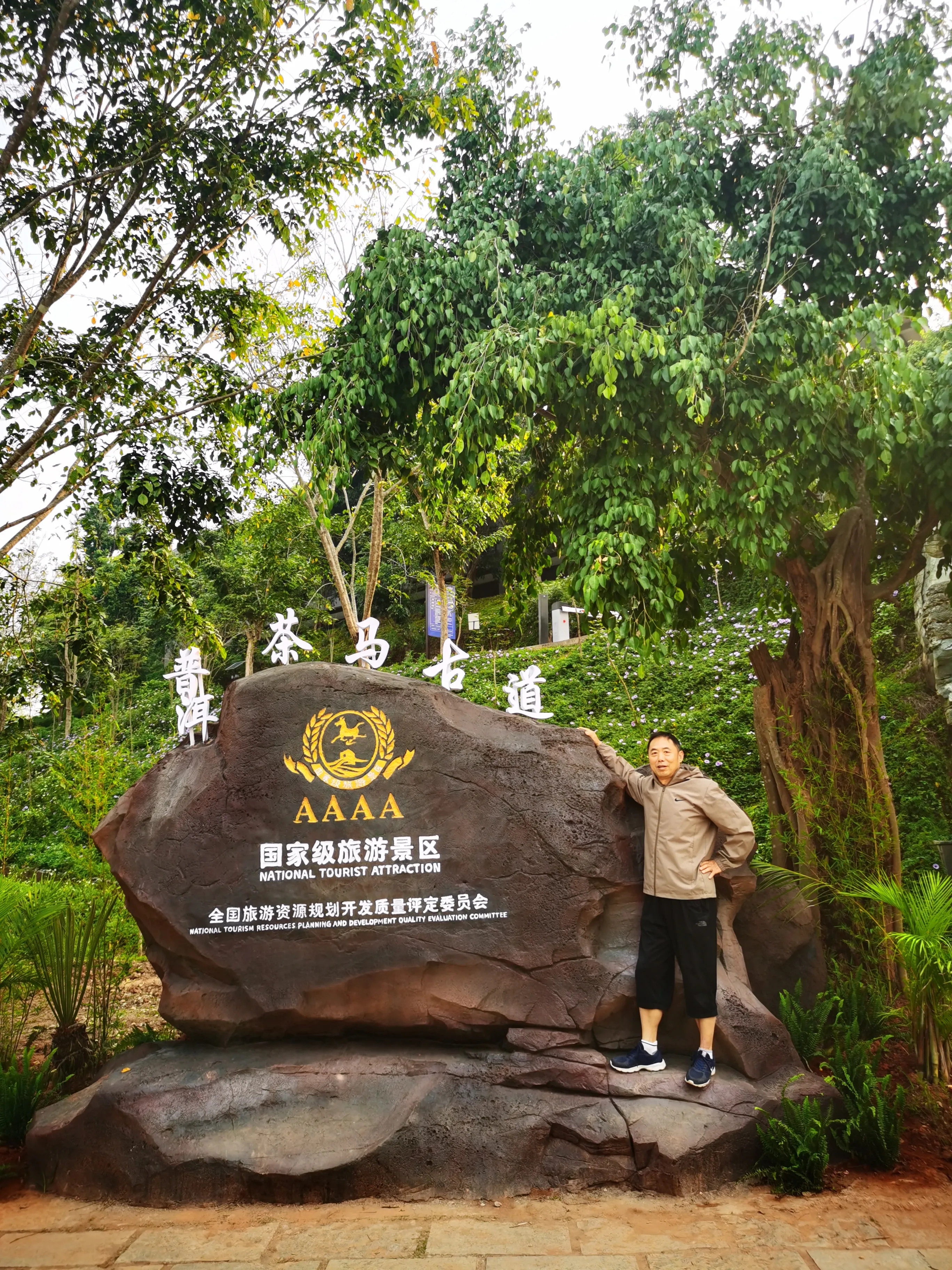 易单助手官网：云南普洱旅行日记，美食、特色交通与住宿体验分享