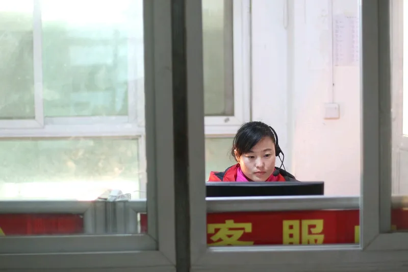 粉团助手：如何选择适合自己的项目实现网络赚钱，提升收入与应对风险的攻略